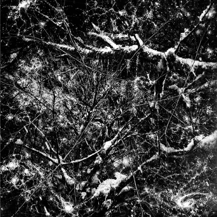 ������� � �������� ����