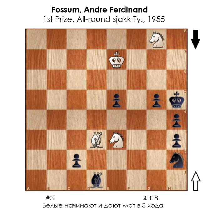 ������������ #235