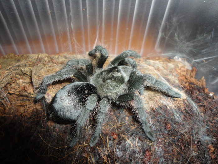 �������, �10, ��� �������� � ���� � �3 ����, ���� ��� �� ����������� �����.