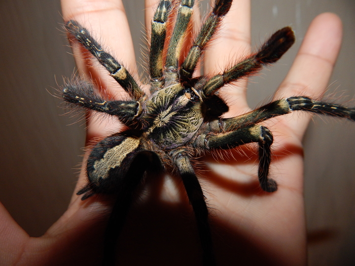 �������-��������, ������� �� ����� �������� � �11 �� ������������ ��������.