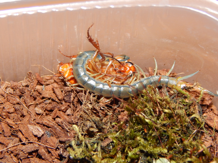 ���������. ������� �� ������� ������� ����������, ��� � �� �����.