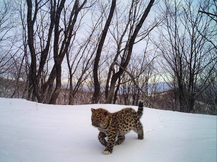 ���������� ������� �� �������� �����