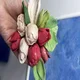 ����� ����� ������ ���� �����������