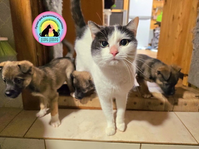 ���� �� ���� ����� ˸��� ������ ����� ����� 😉