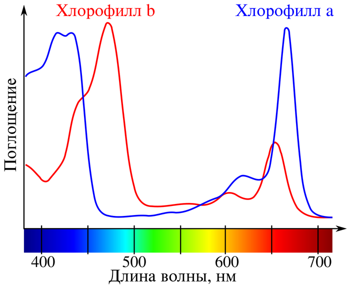 ������� ����� ������� ����, ����������� ������������ � � b