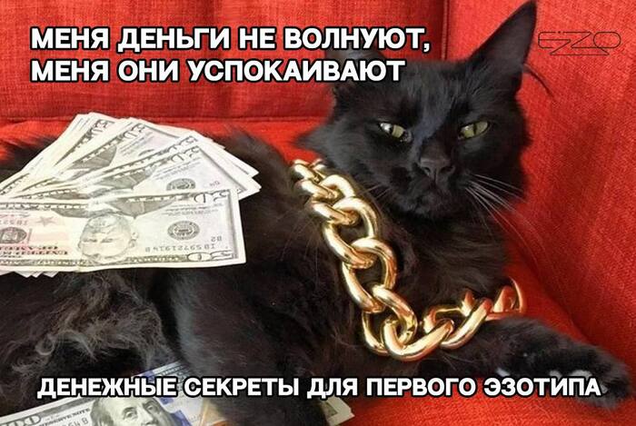 Денежные стратегии для людей первого эзотипа ( I )