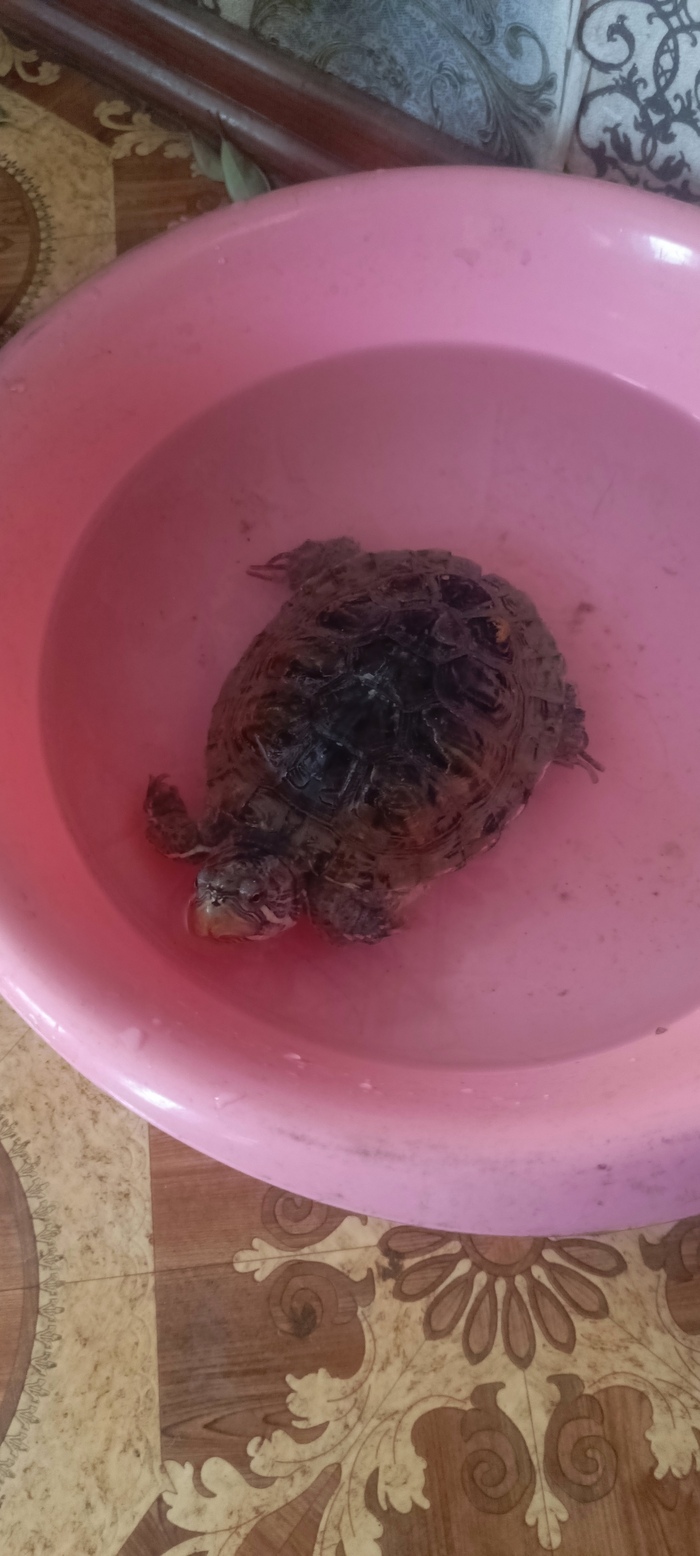 ����������� �����!