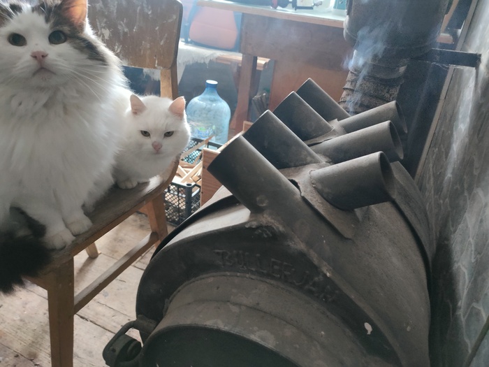 �������� ���� �������, �� �������� ���� ����� � ����� ��������-������, ��� ���������� - ������ ����������. ���� ����� �� ���������� �����, �, ������, � �������� �� ��������, ������ ����