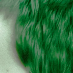 Kinoteatrego