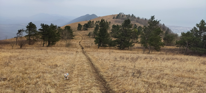 � �� ���� ������ ���� �������� �������� � �������. � ������� ������ ���� �� �����.