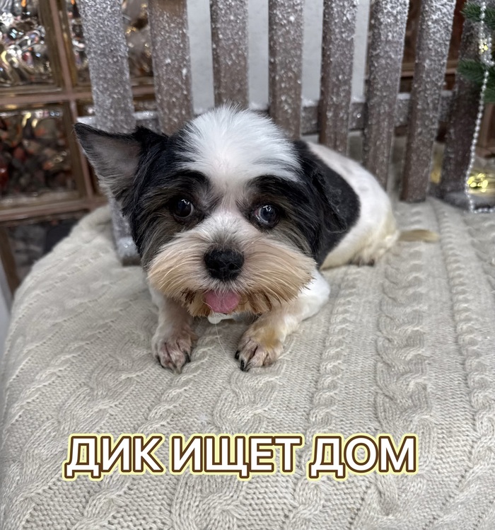 ��� ���� ���