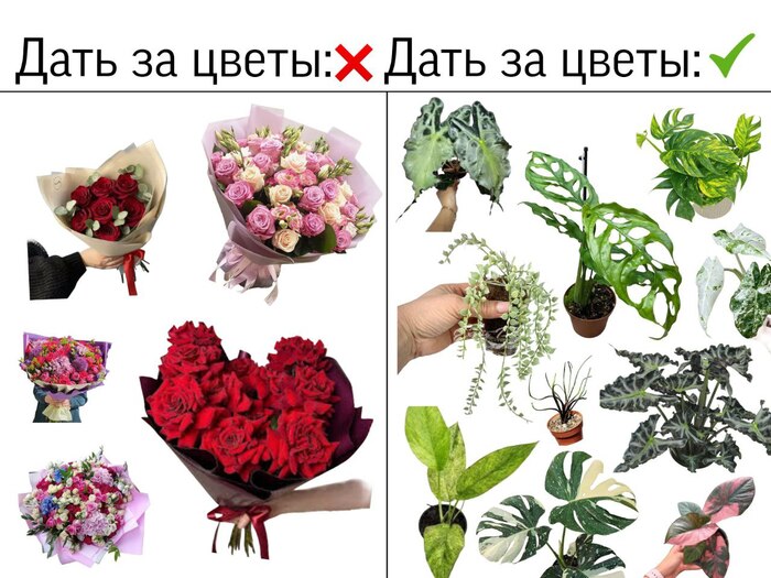 ����� ��� ��� �������� ����?