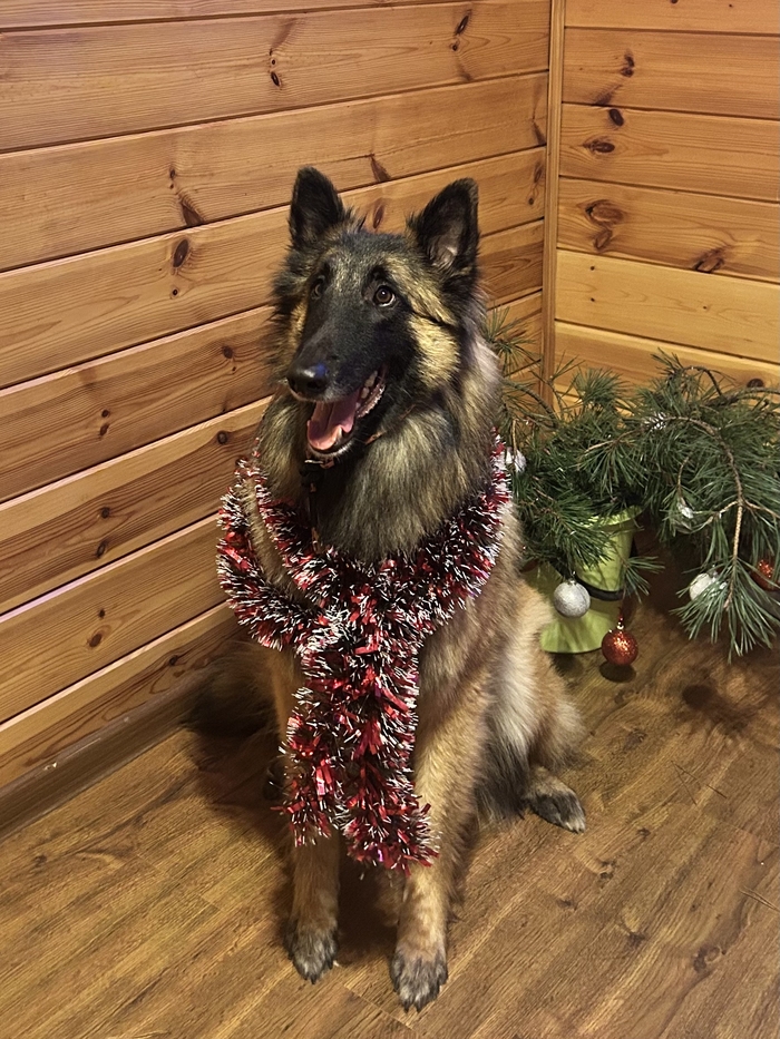 � �����������