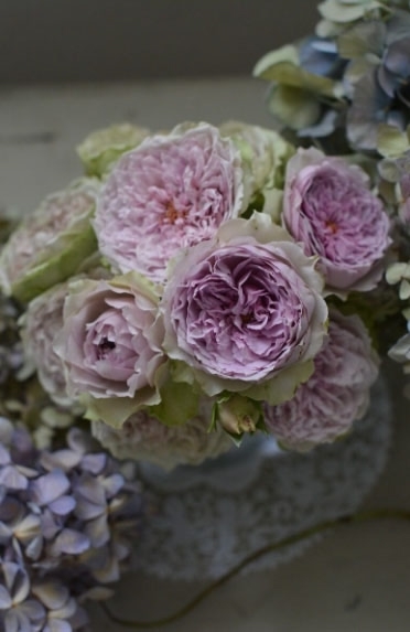 ��� ������ ����� ������� ���