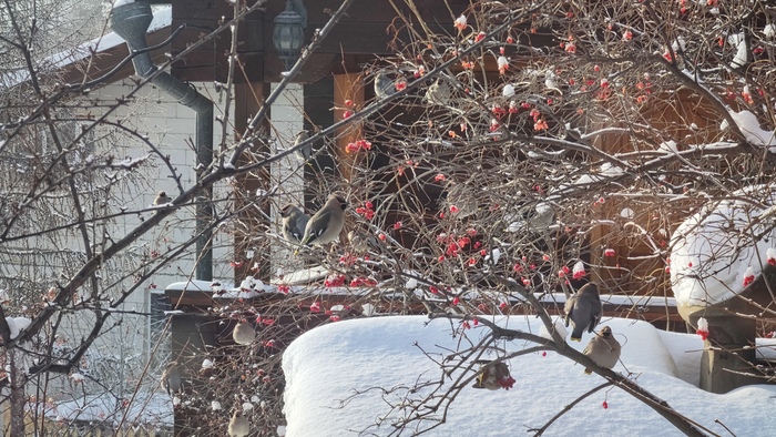 ���������� ���� ���������� �� ������, � ������� ������� ������.