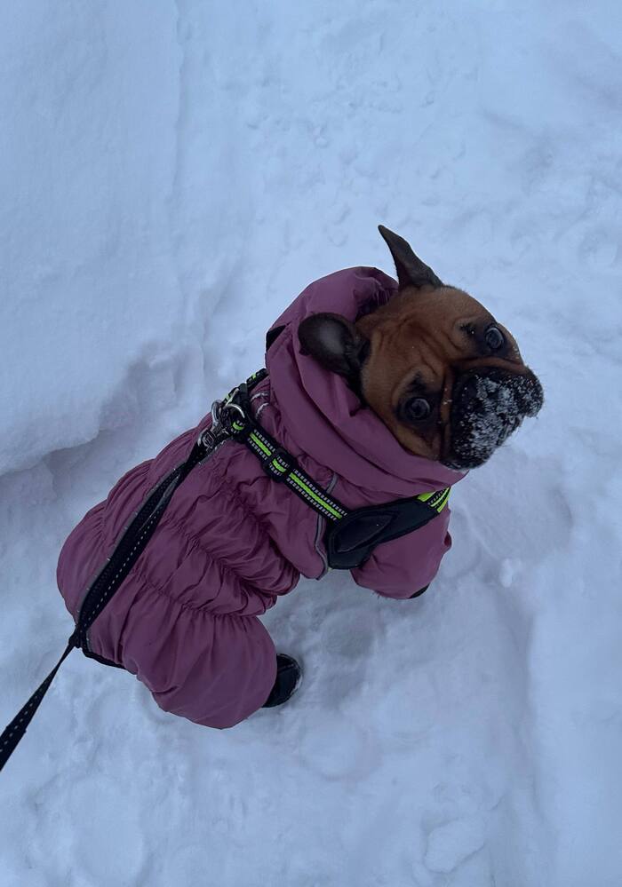 ����� ������ ���� ���� ������ ��������� � ����, �� �� �������� � ������ ���� ������ ����������� ��������� � ���������� ������ �� ����� � -35