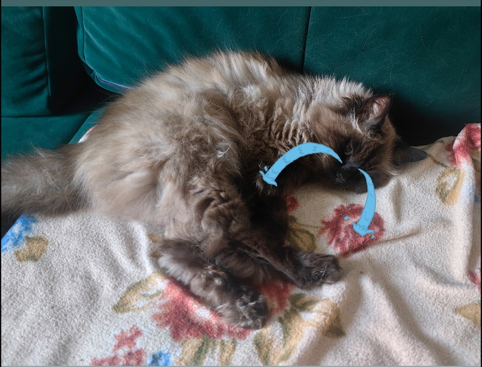 Delivery Club ������� ����� ���� ��������. � ��� ������� �����, �� �� �� �����