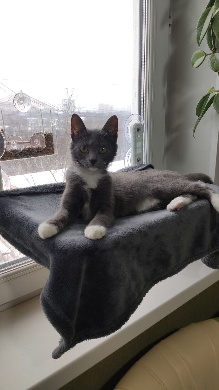 подключили телевидение, но до 8 этажа видимо кроме голубей никто не долетает.