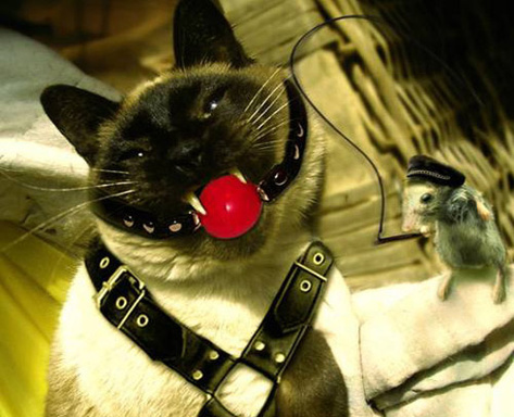 ������ �������� ���-�� �� ����� �������...