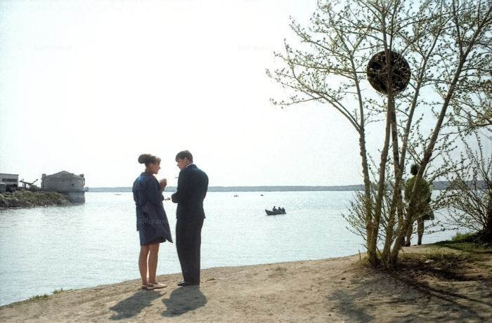 �����: �������� ����