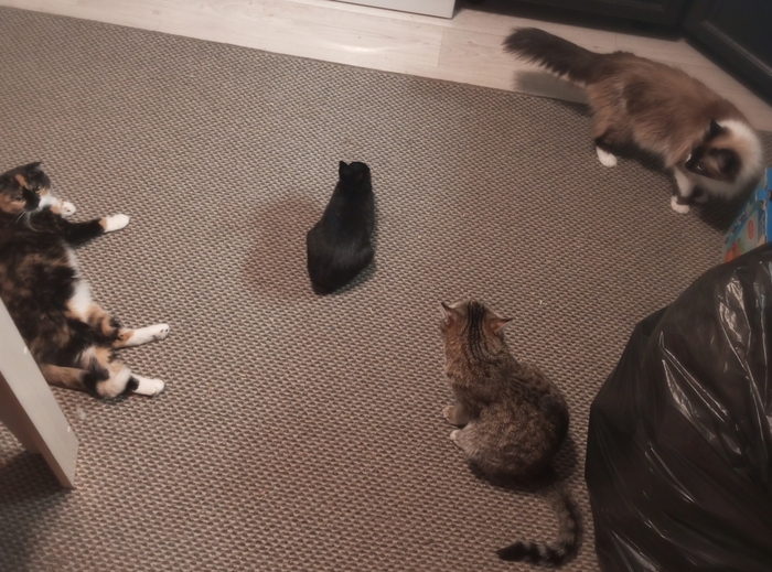 �������� ������