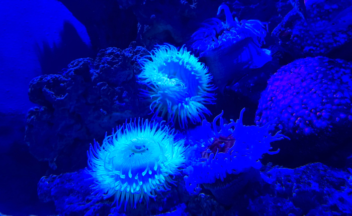 ��� ����� ������� ������� ����������?