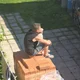 ����� ����� ������ ���� �����������