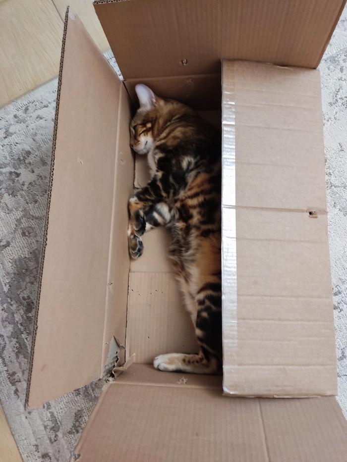 ���������!!!