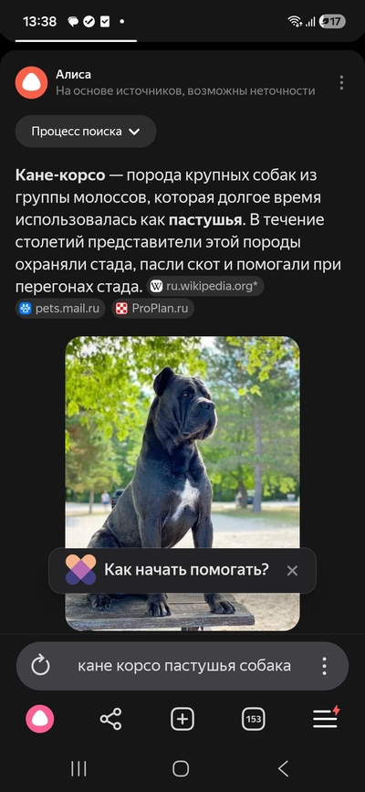 Иллюстрация к комментарию
