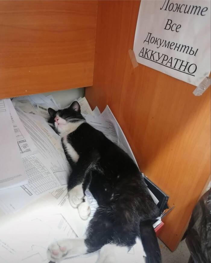 ������ �� ������