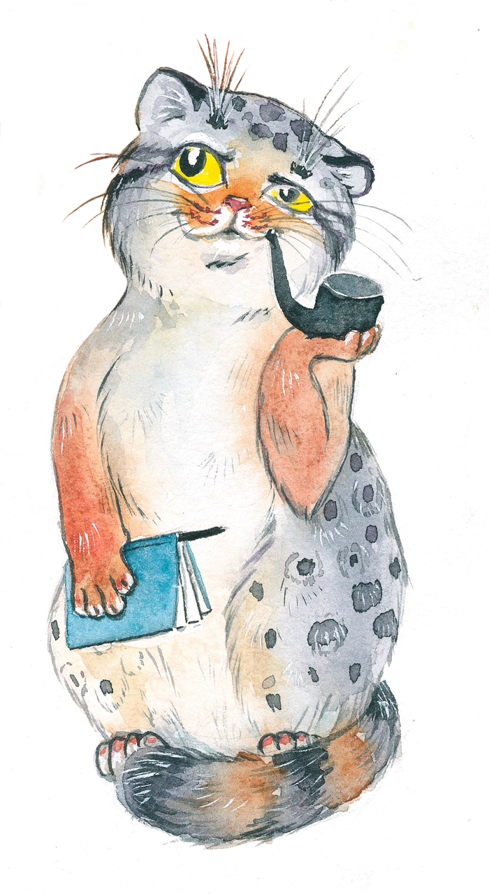 ����������� ����-�������