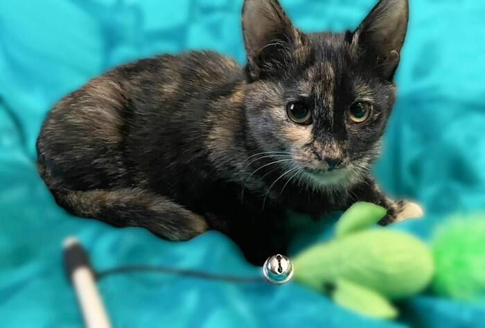 ����� �������� ������ ������� ���� ���!