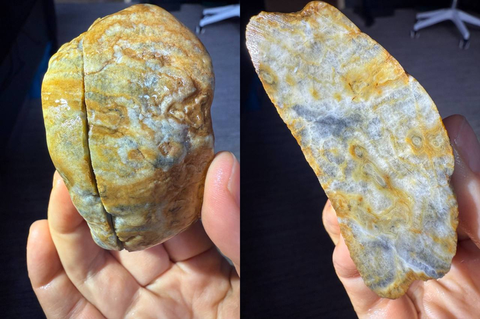 �������