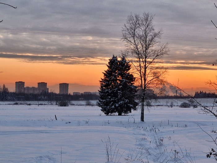 �����, ��� � �������