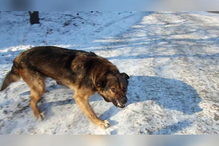 ����� ����� ��������� ������� ��� ������������, �� ������� ��� ����