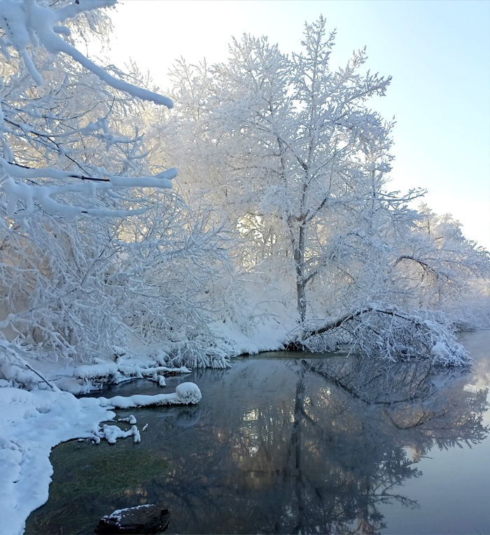 Тихое созерцание