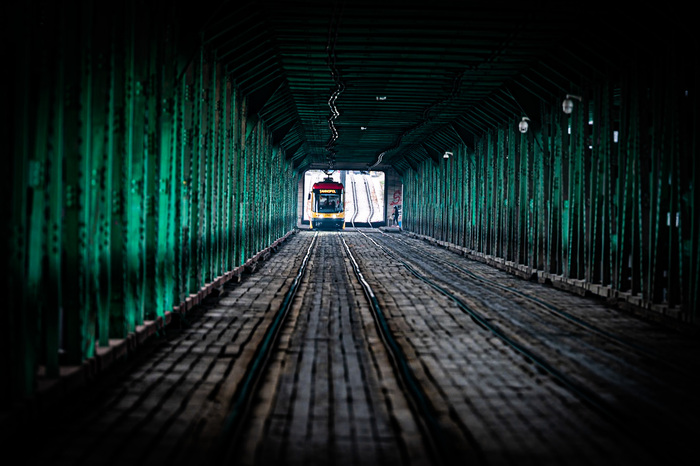 Nikon Z6 II, Nikkor Z 70-200/f2.8, 1/80, f2.8, iso 200. ���� ��������� � �������