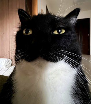 ������ ����������� �� ������ ����� �������