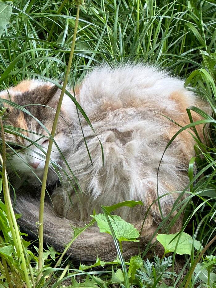 ��� ���� ������ ���� ������ � ������, ���� ��� ����� ��� ������ �� ��������