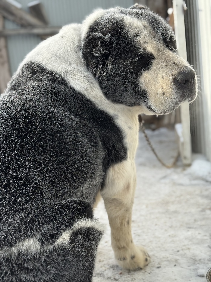 �� ����� -35 , ����� �� ����� � �������� �����.