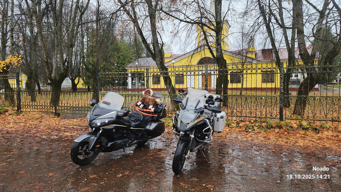 ������ ����� ����?