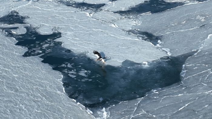 � ����� ��, �� ��� ����� ����� ����������