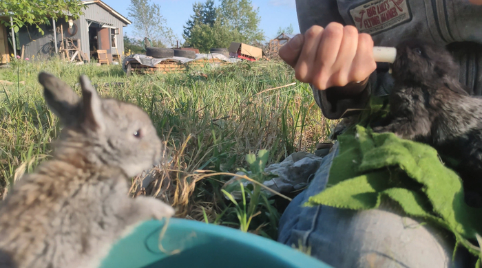 �������� ���� ��������� ����������������, ������� ������� ������������ �� ������ ��� ����