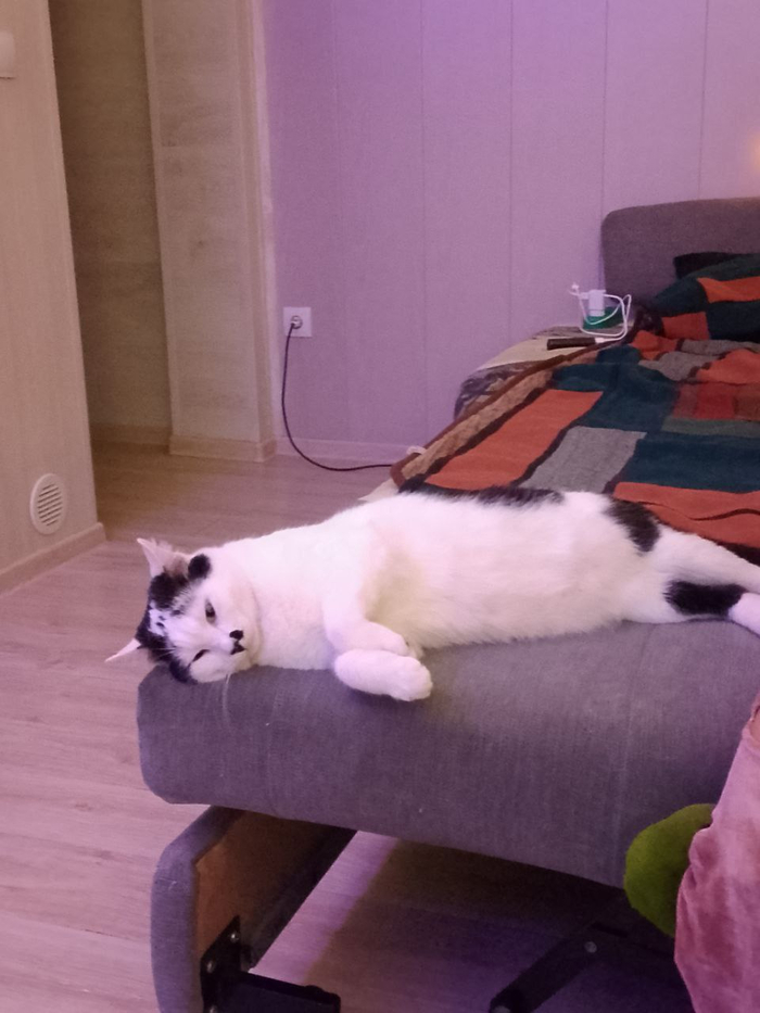 ��� ���� � �� ��������. ��� ����� � ������ �������...