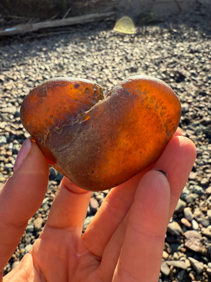 ���� ������������ ��������. �. ����.