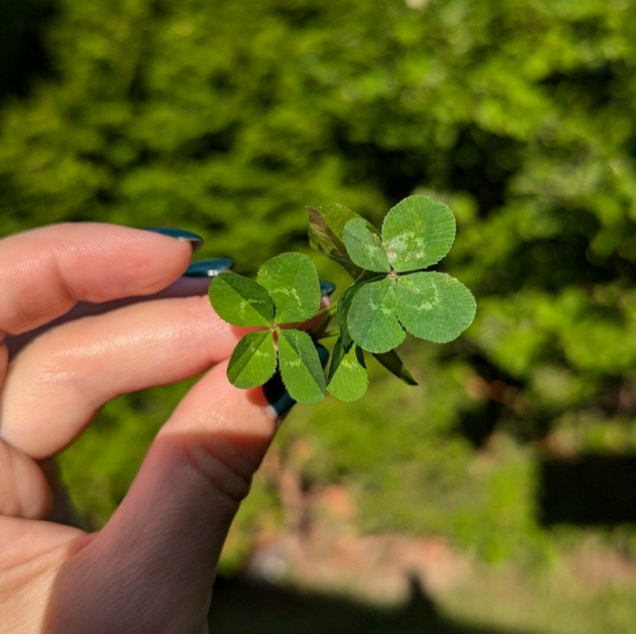 ������ � �������� �� �����