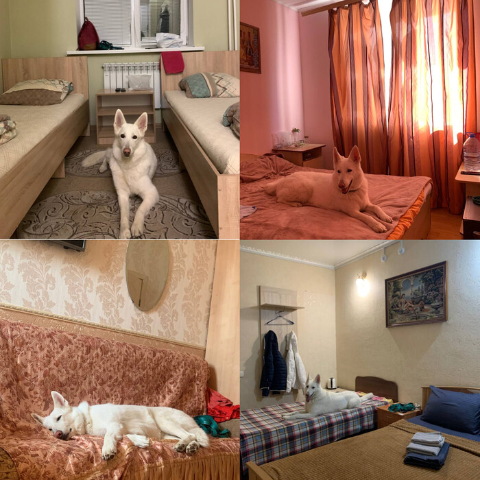 �� ���� �������� � ������ ����������� ������� ����������. ���-�� ��������� �� 2 ��� � �������� ������� ������� � �������. ��� ���� ����� �����������, �� �� �� ���������. 