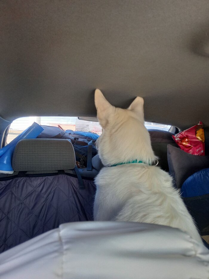 ������ ���� ��������� ��� �������. ����� �������� ��� ���� ����� ��������� � ��������, ��� �� ���� �������� ����������. �� ��� ���� ��������))