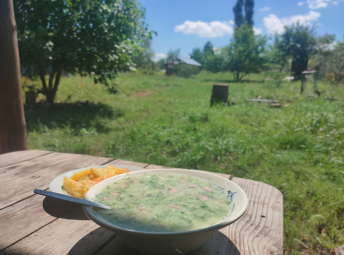 ���. ���� ����� �������� ����� ����.