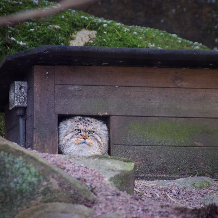 �� ��� �����?